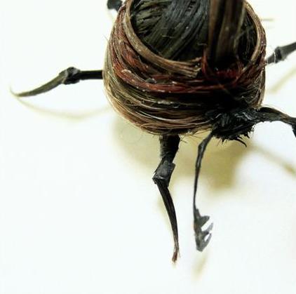 beetle made of glue and human hair (detail) by Adrienne Antonson