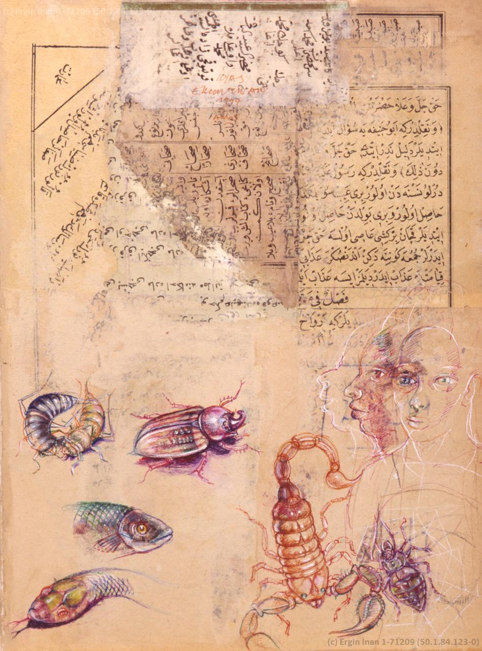 The Insect Art of Ergin İnan | The Endless Swarm